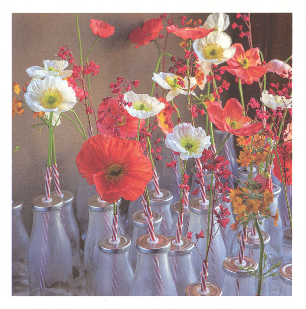 Poppies and Primulas Greeting Card
