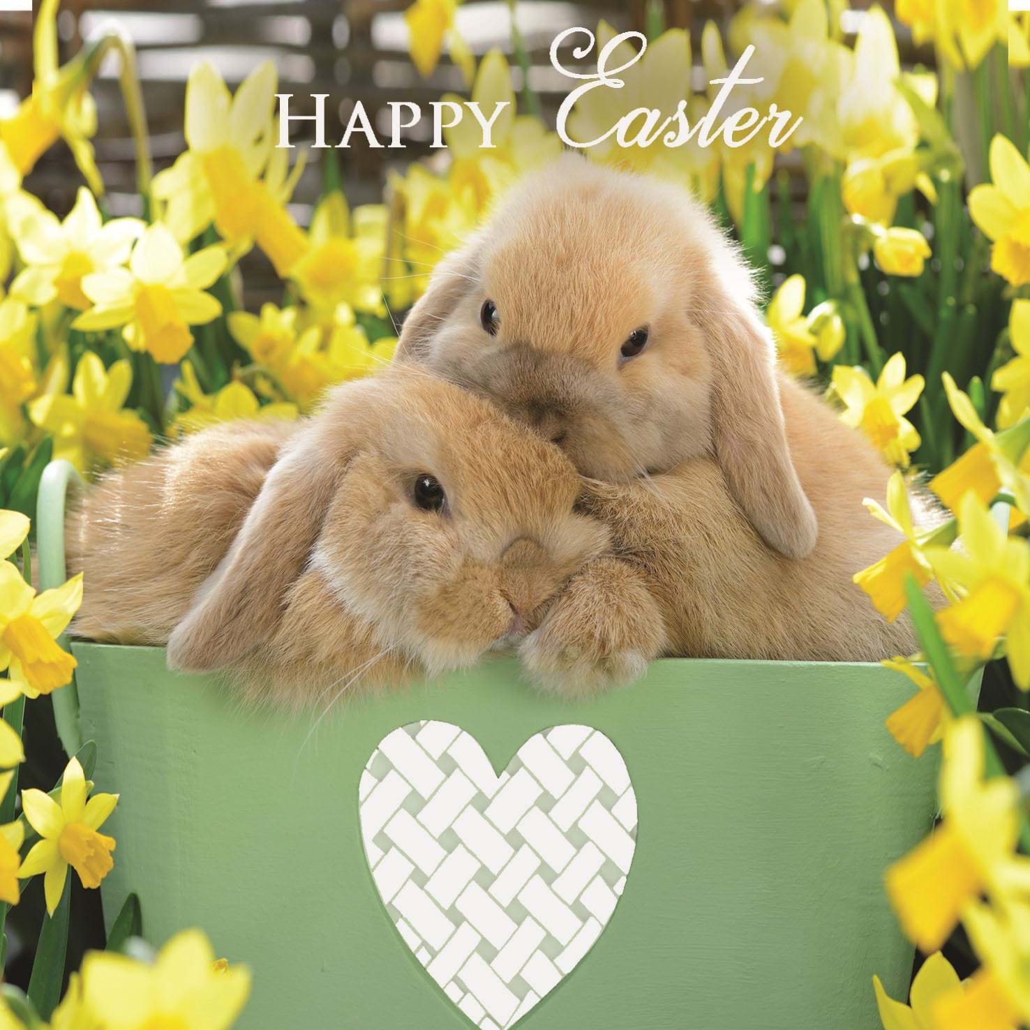 Cute Bunnies Easter Card Pack (5)