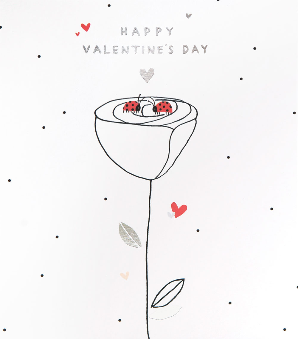 Ladybirds on a Rose Valentine's Day Card