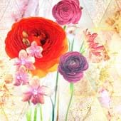 Bright Peonies Greeting Card