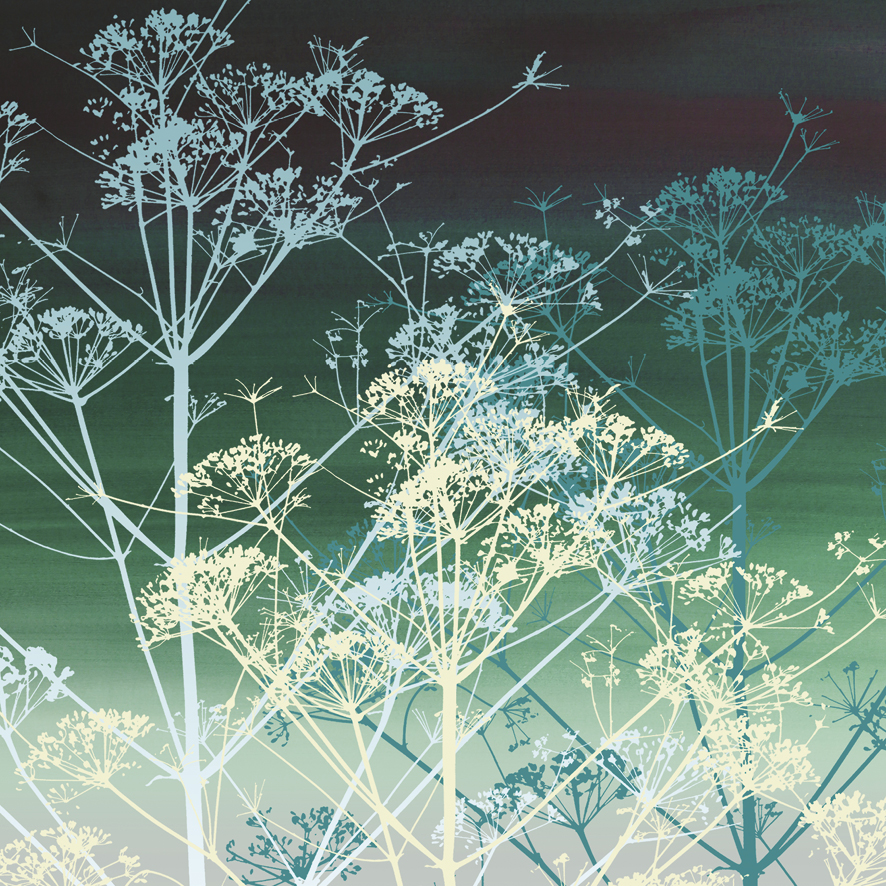 Ammi Greeting Card