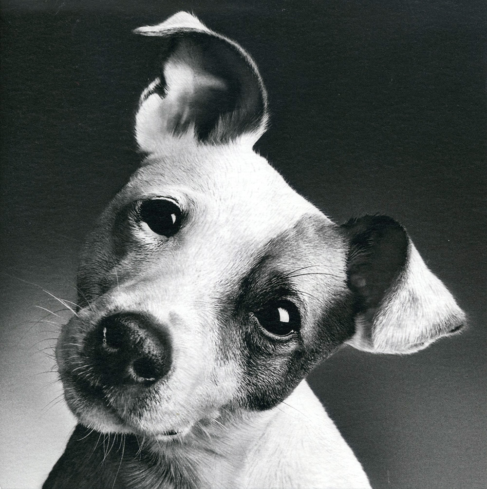 Hello Greeting Card