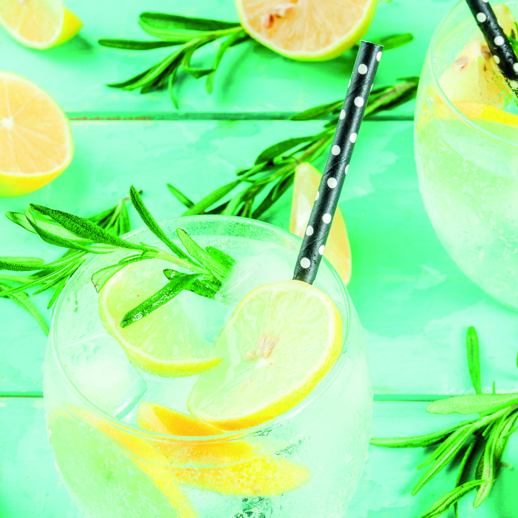 Gin and Tonic Greeting Card