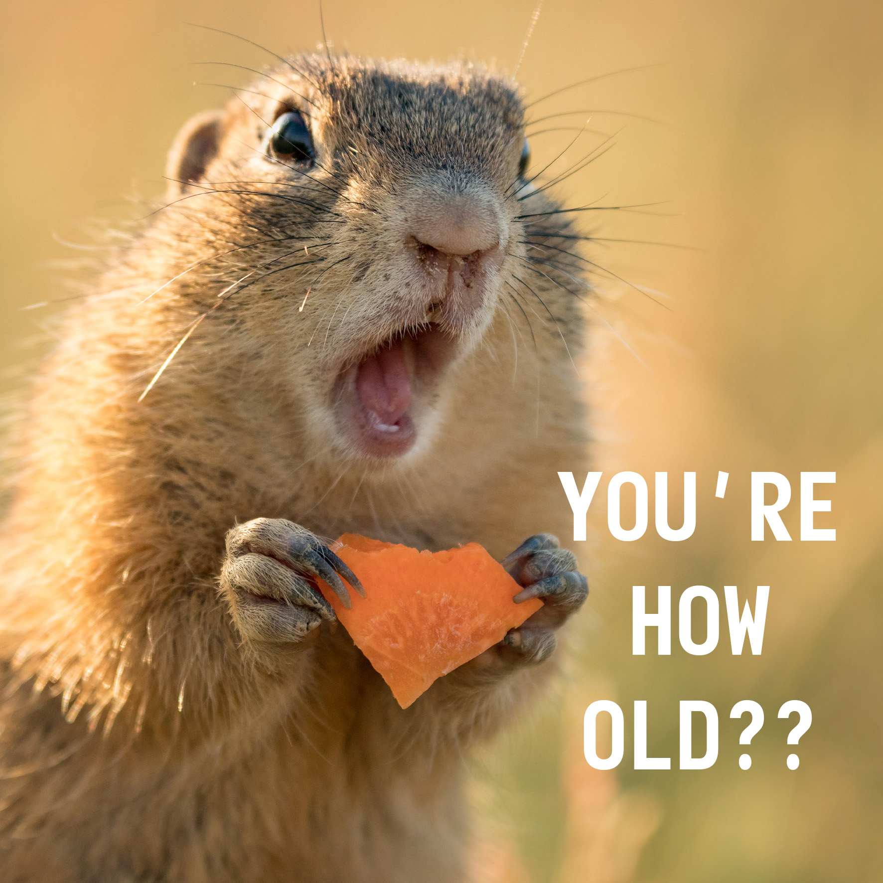 You're How Old?! Birthday Card