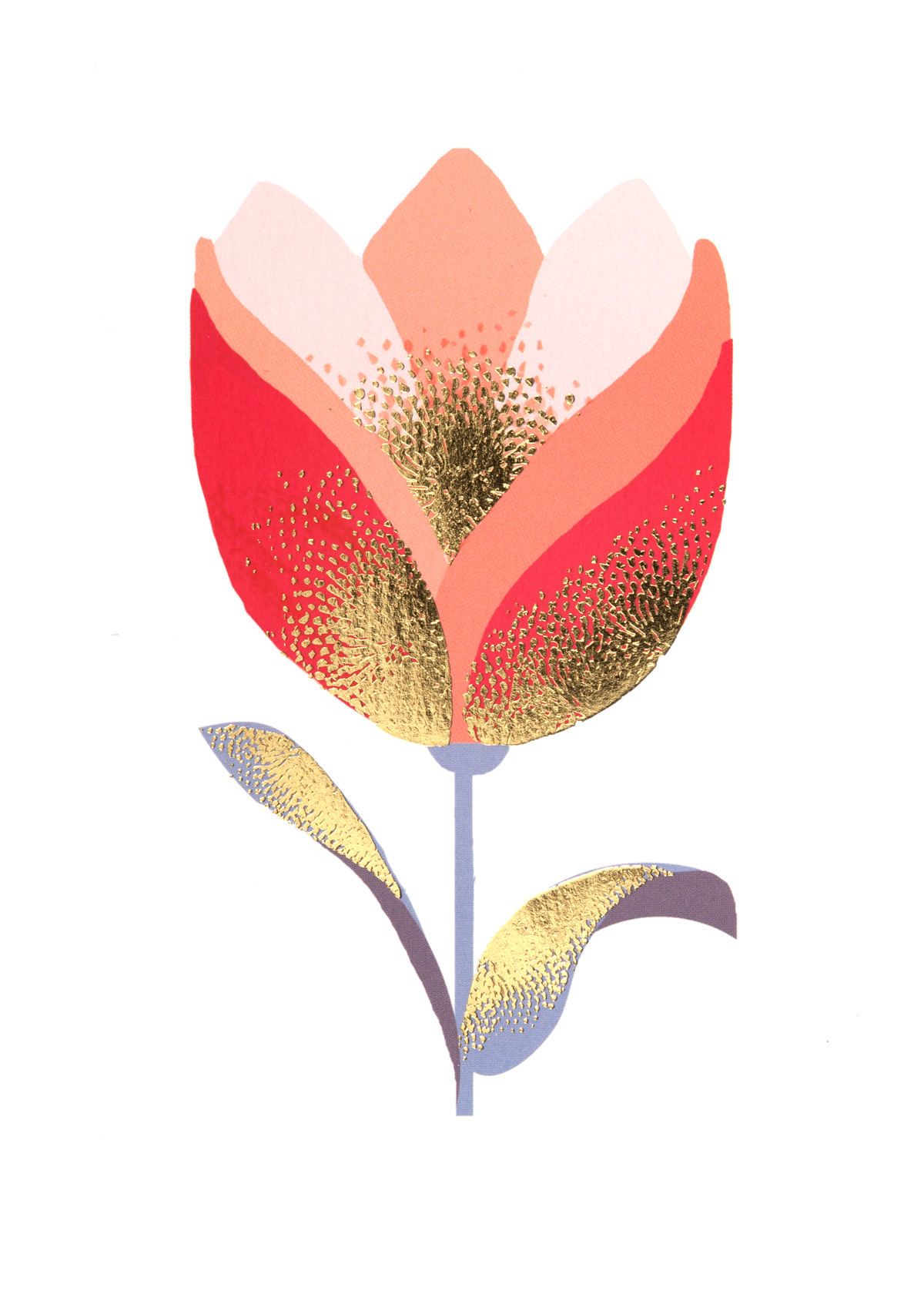 Pink Tulip Greeting Card