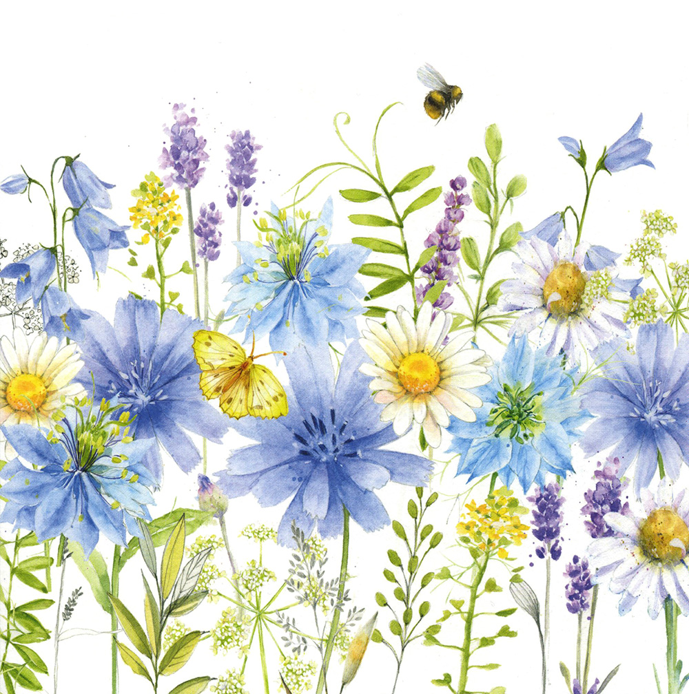 Nigella Meadow Greeting Card