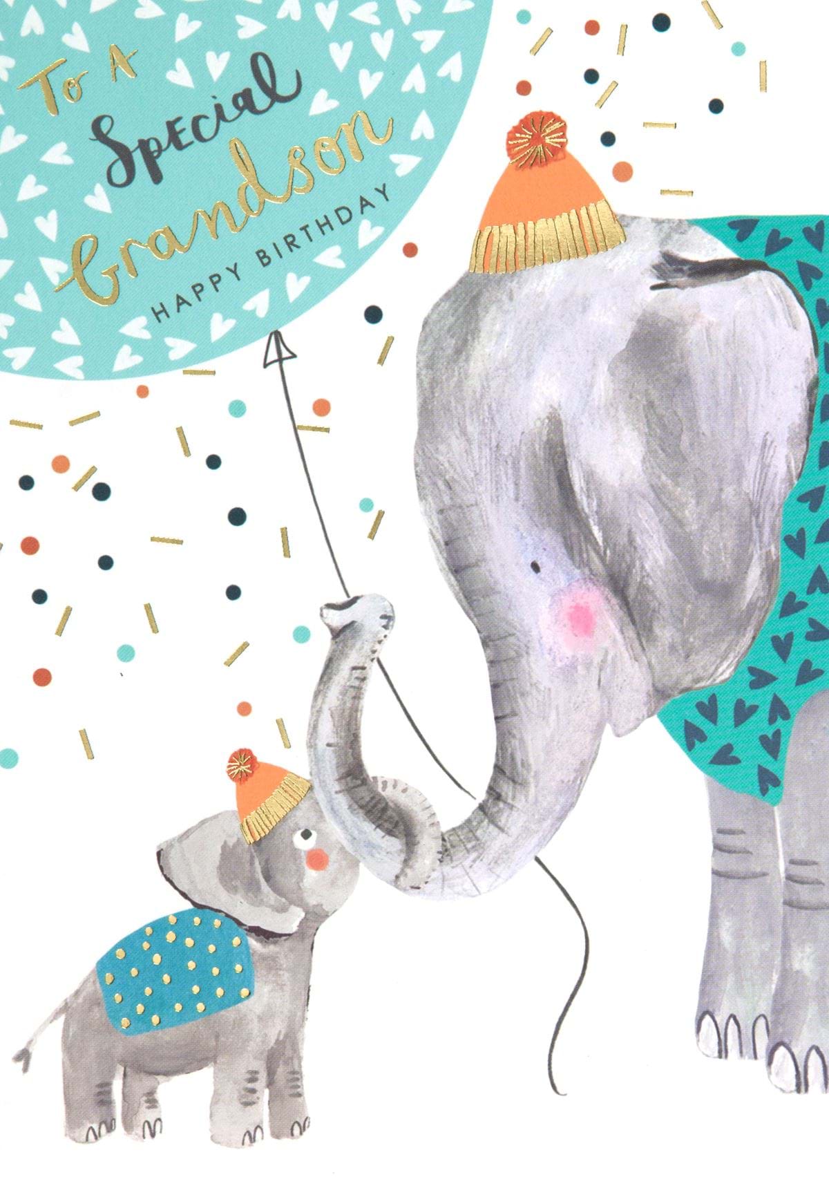 Special Grandson Birthday Card
