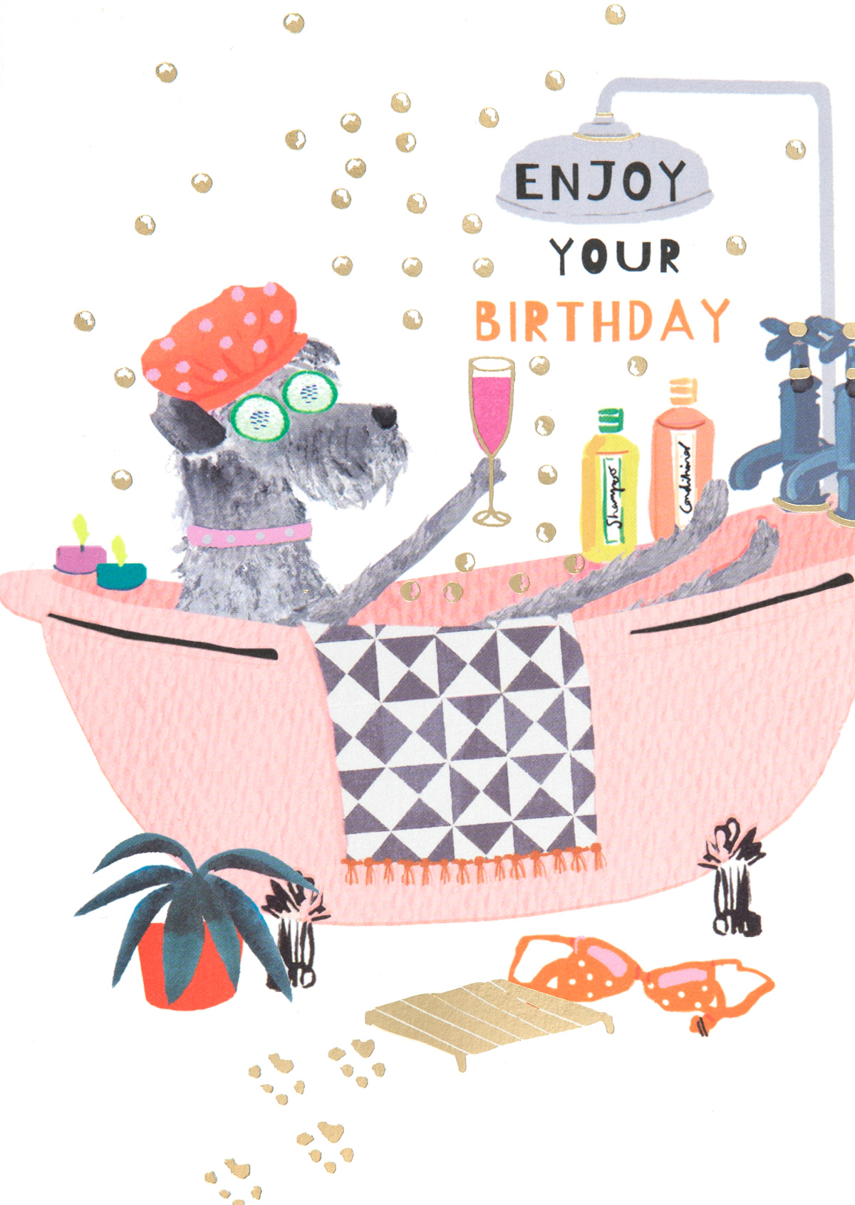 Pampered Pooch Birthday Card