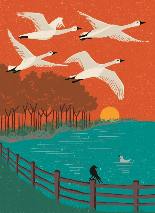 Beautiful Birds Greeting Card