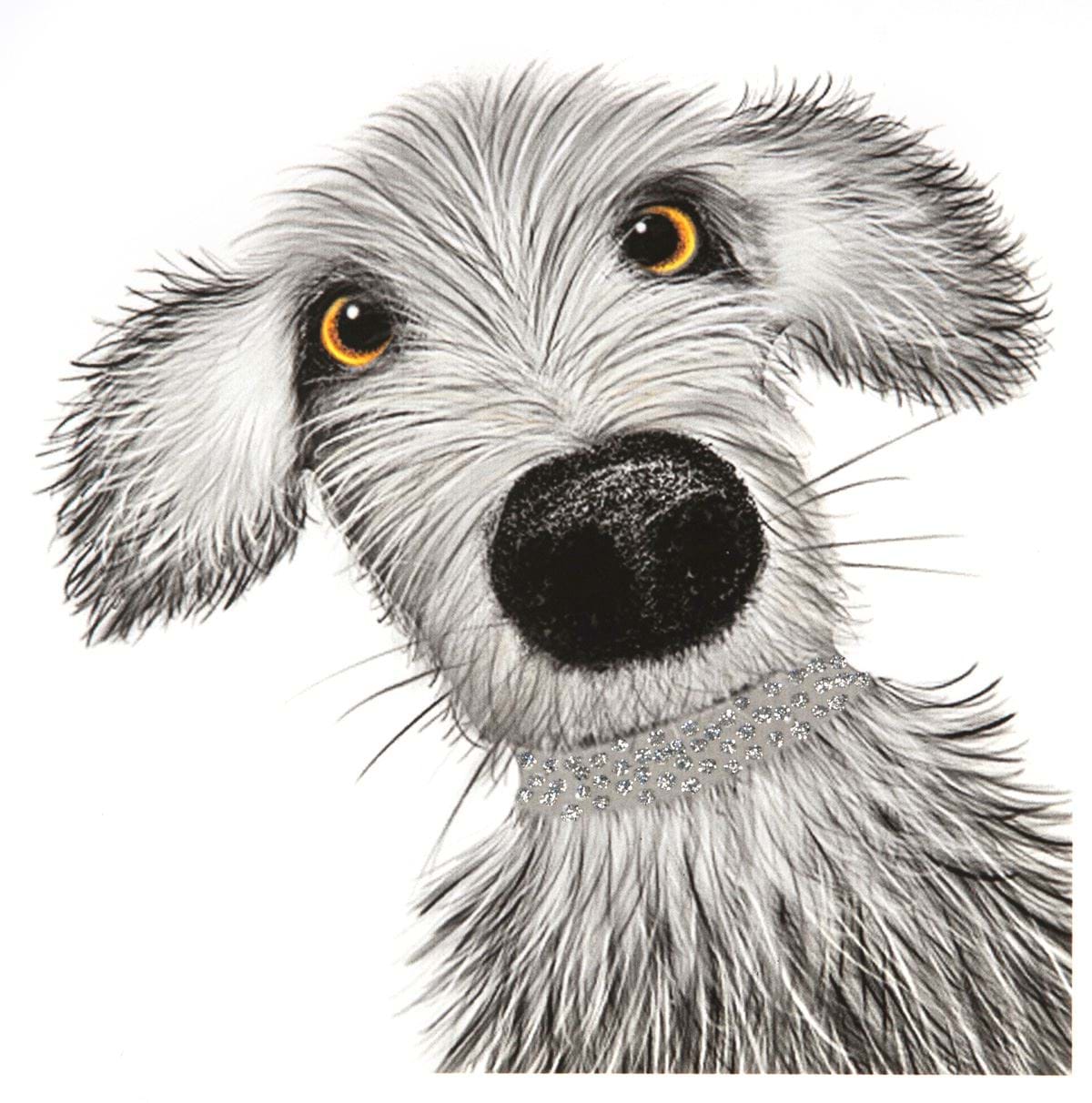 Pup Greeting Card
