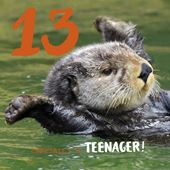 Officially a Teenager 13th Birthday Card