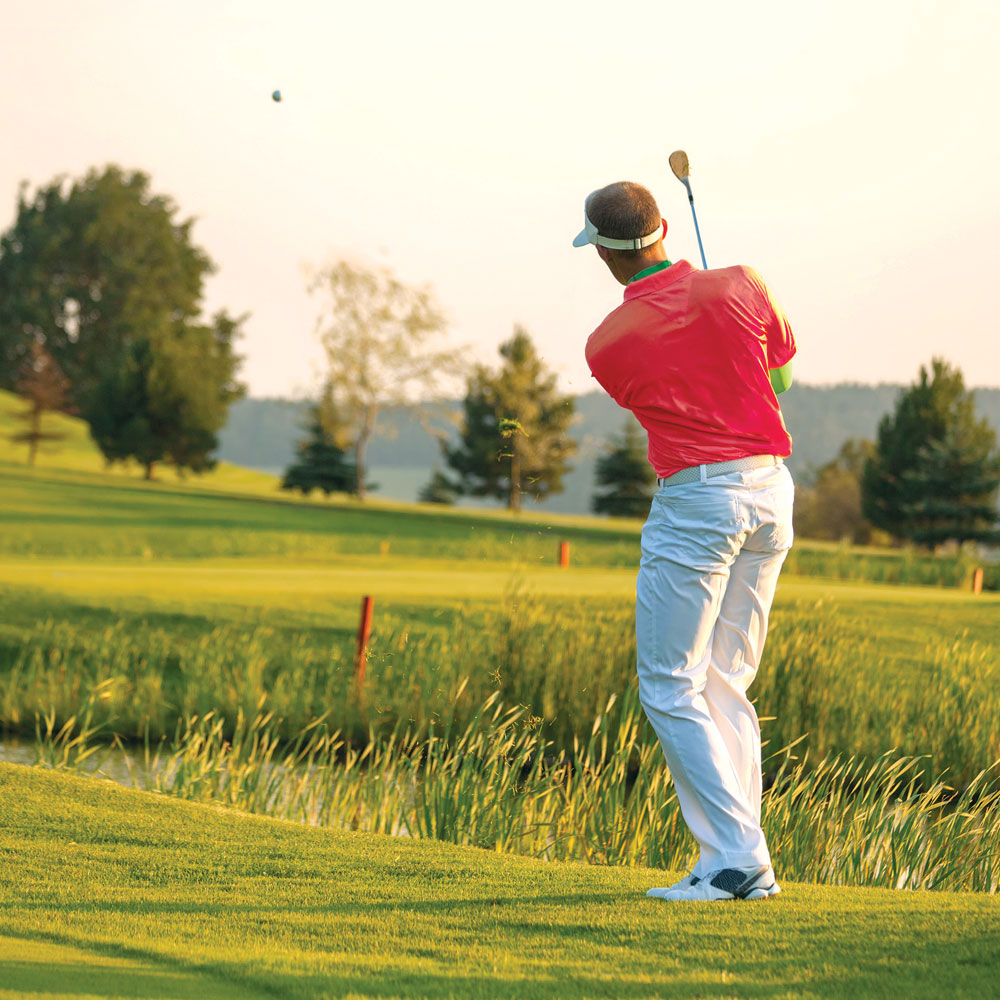 Golf Swing Greeting Card
