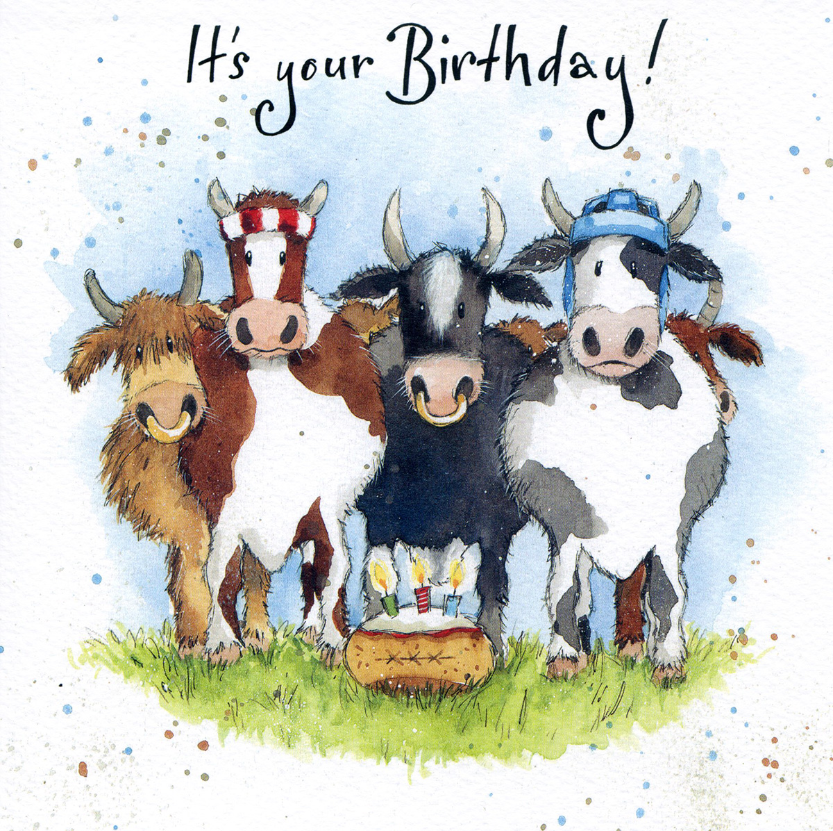 Cows Birthday Card