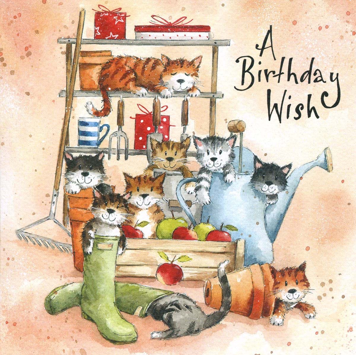 Kittens Birthday Card
