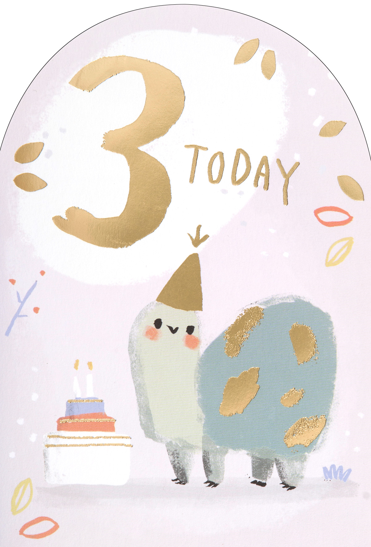 Tortoise 3rd Birthday Card