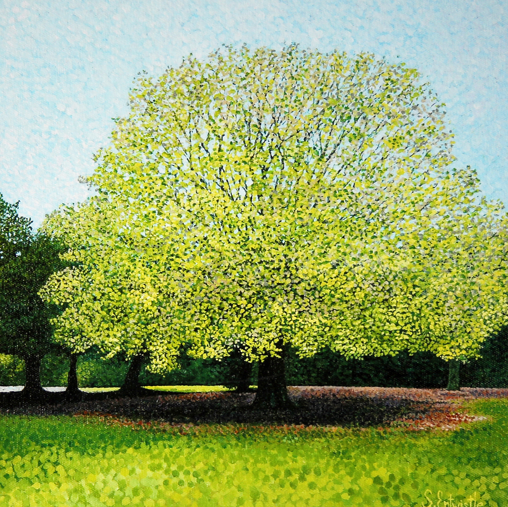 Fern Leaf Beech Greeting Card