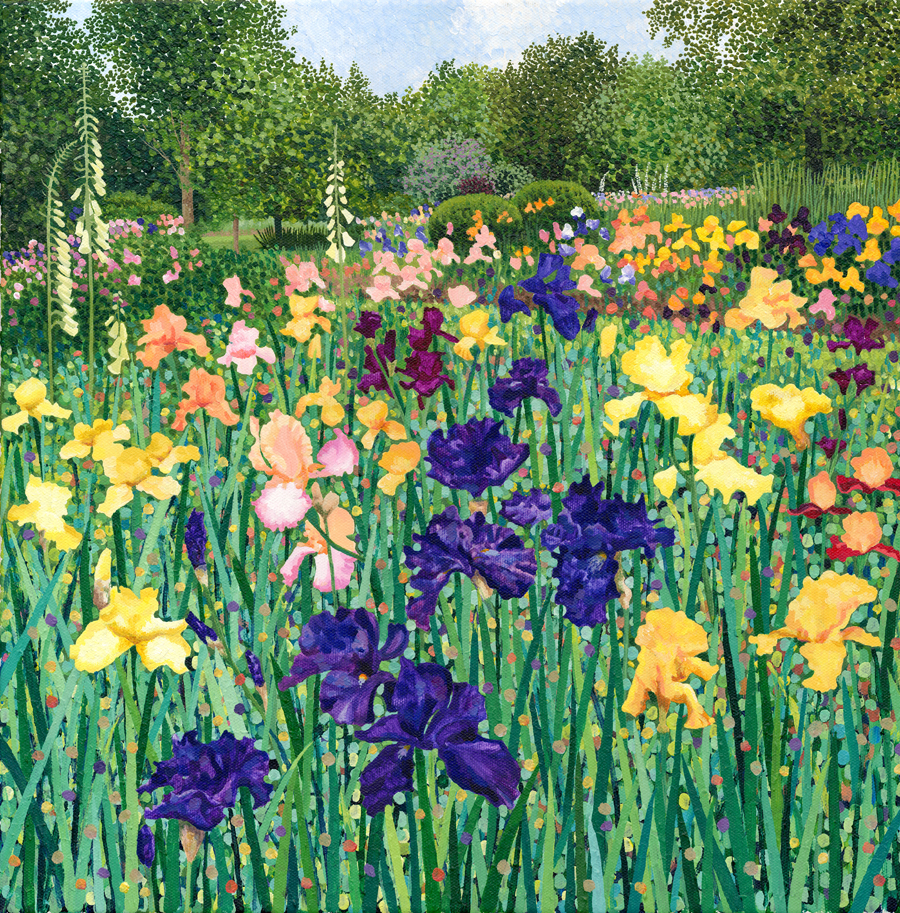Irises Greeting Card