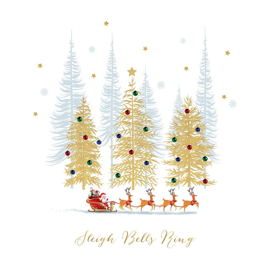 Santa's Festive Sleigh - Personalised Christmas Card