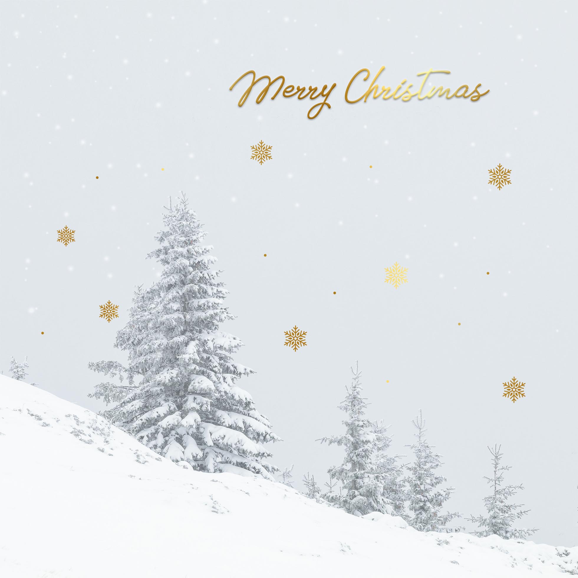 Snowy Tree Personalised Christmas Card