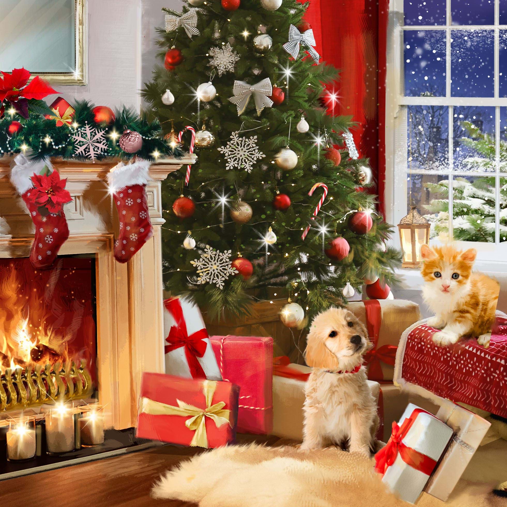 Keeping Warm Personalised Christmas Card