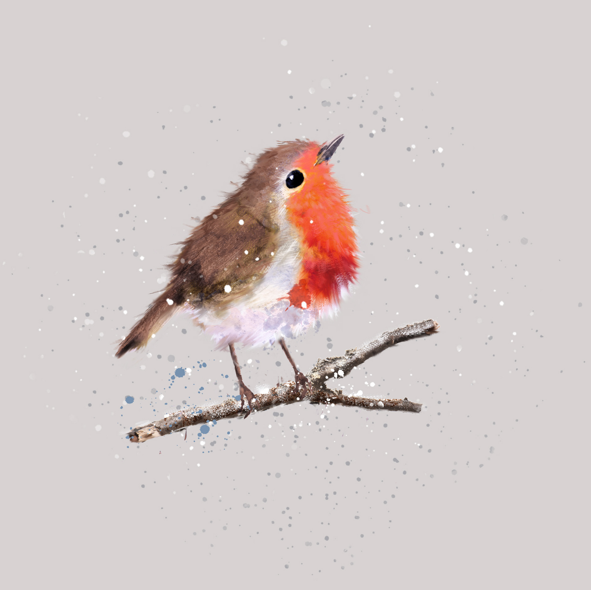 Fluffy Robin Personalised Christmas Card