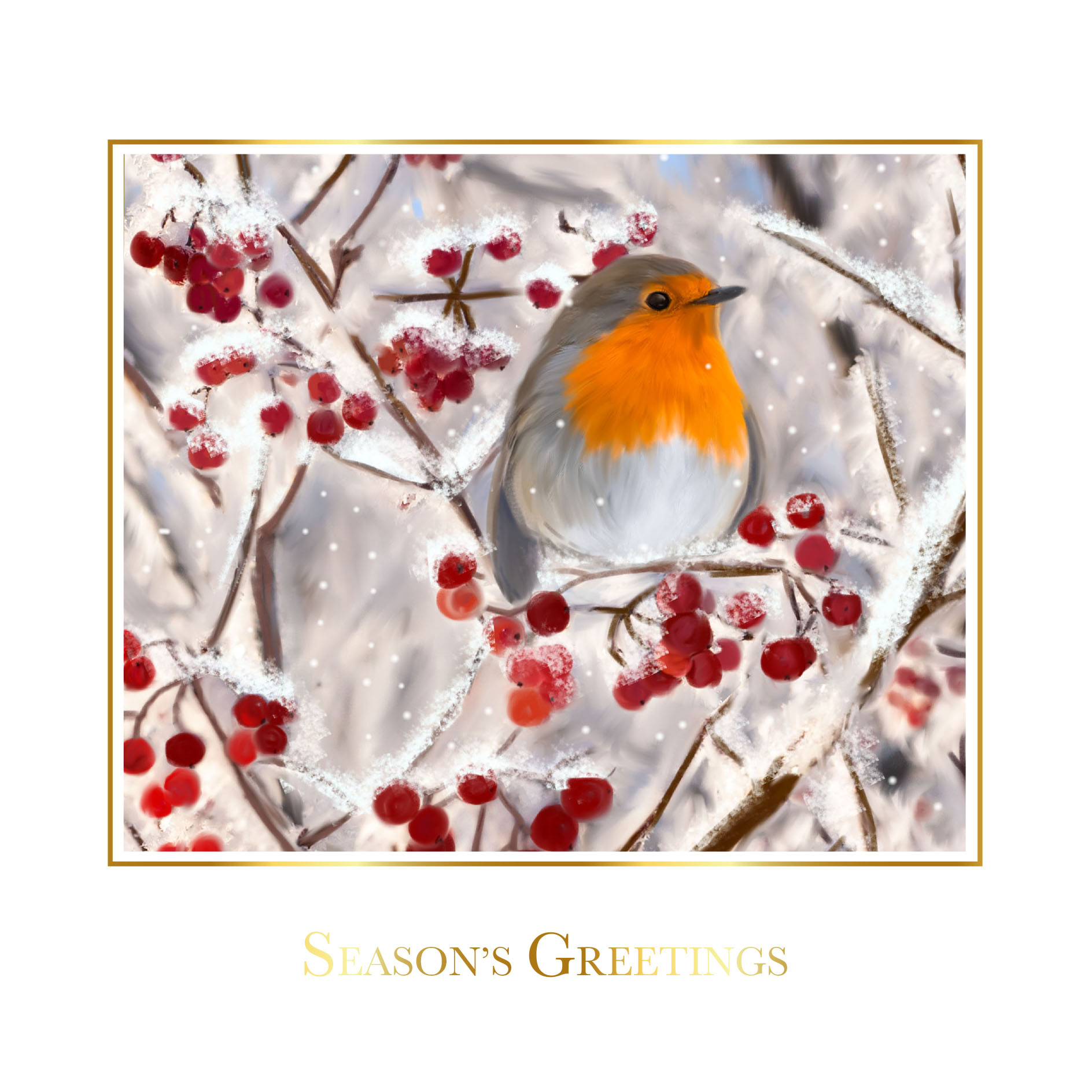 Robin and Red Berries Personalised Christmas Card