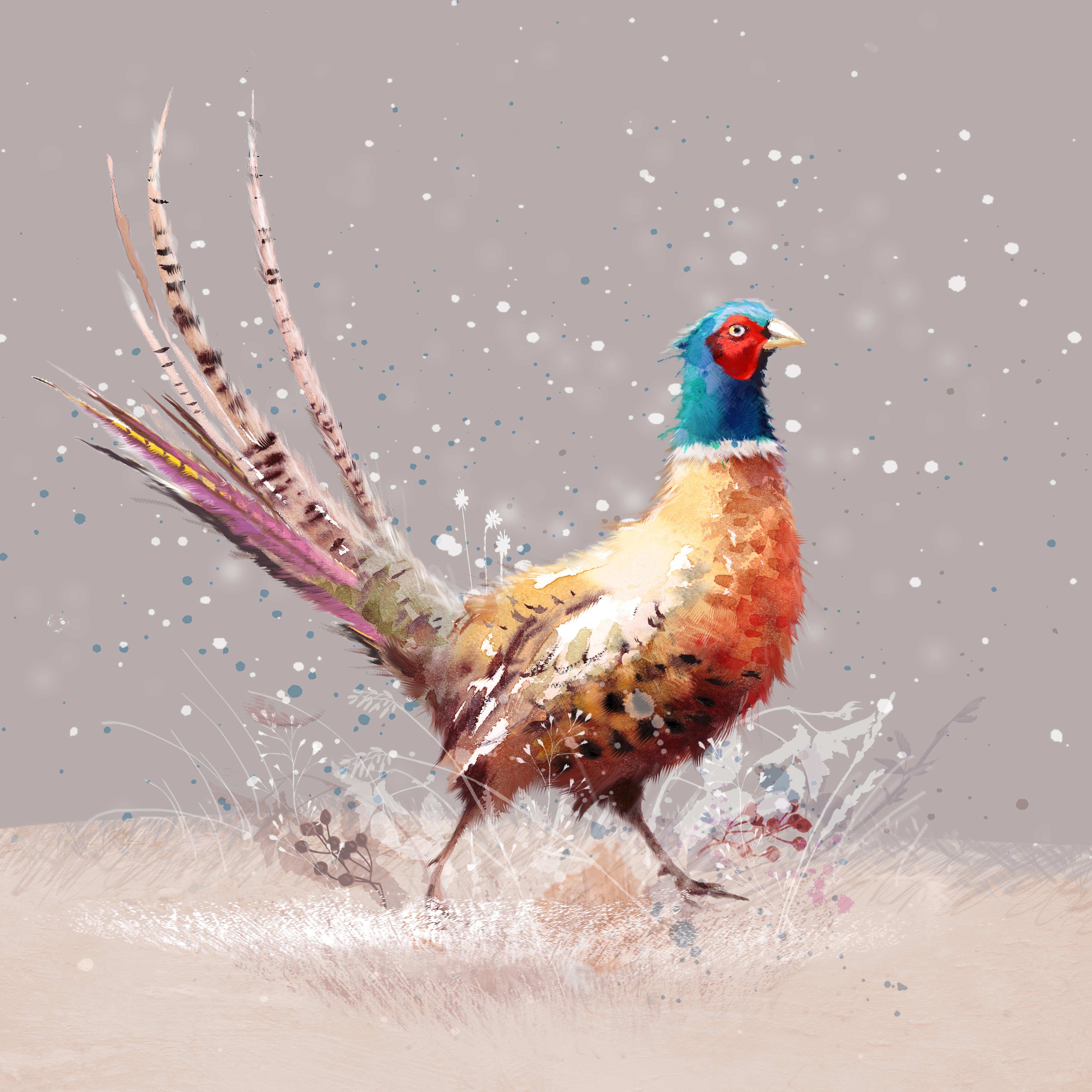 Colourful Pheasant Personalised Christmas Card