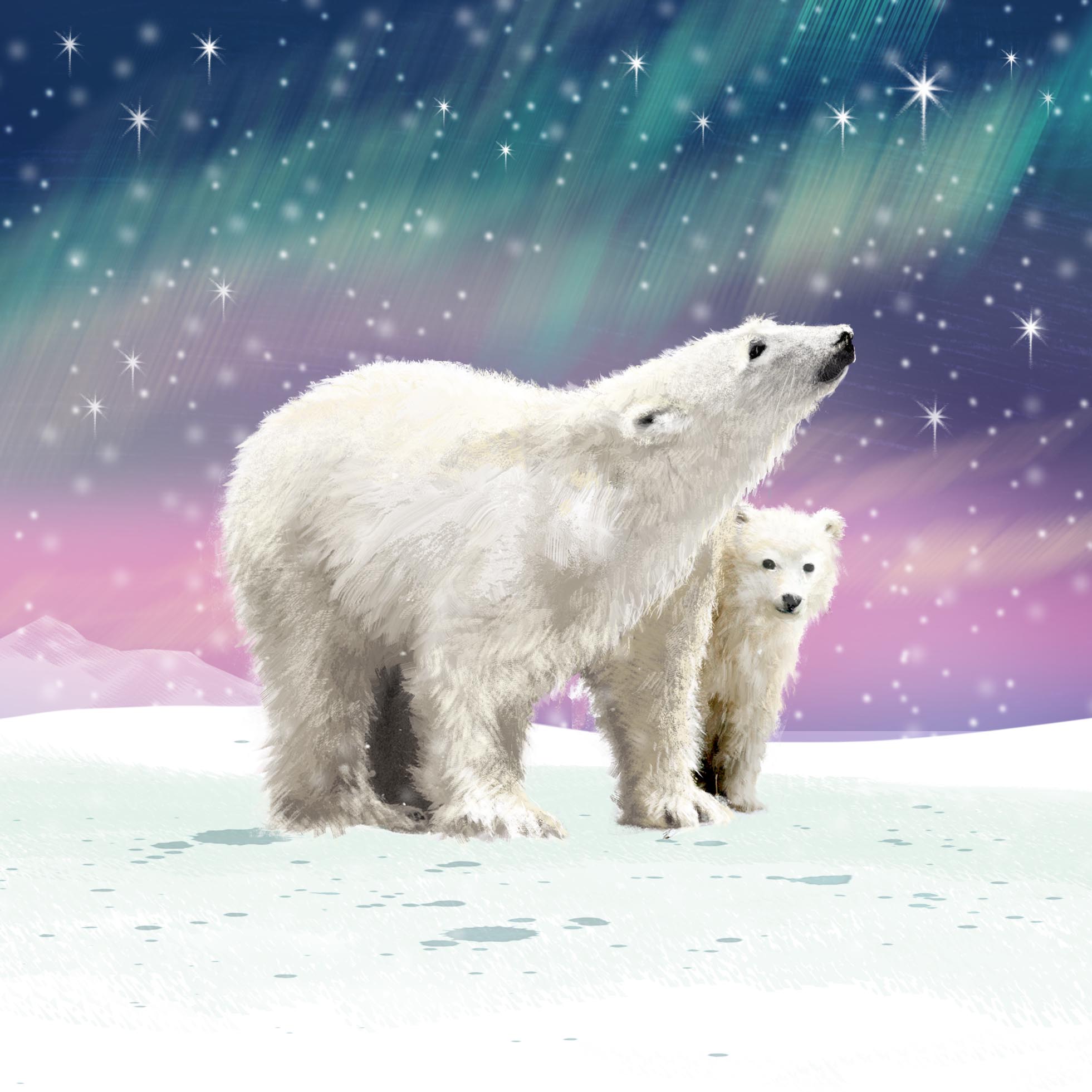 The Northern Lights Personalised Christmas Card