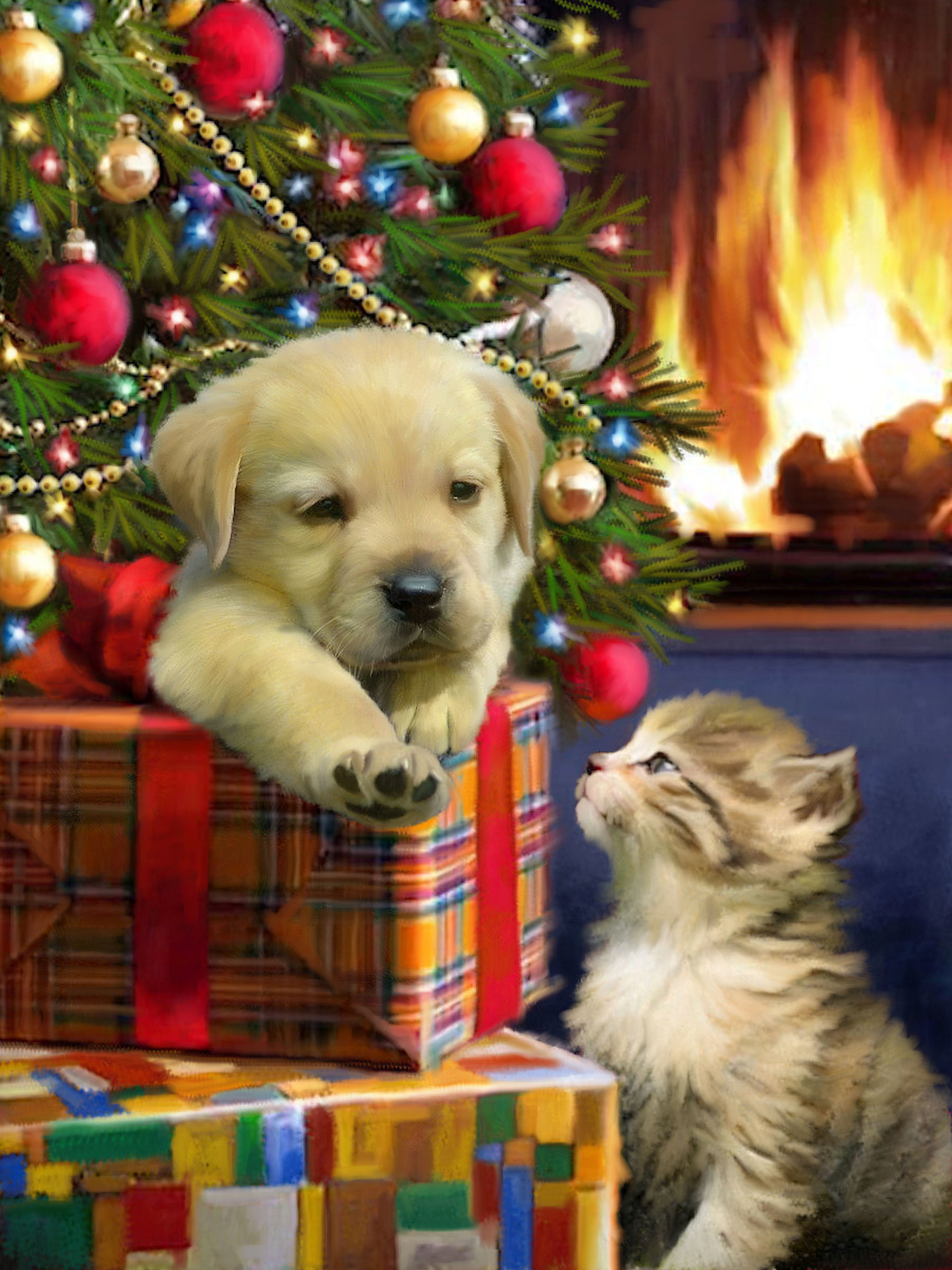 Cute Pup and Kitten Personalised Christmas Card