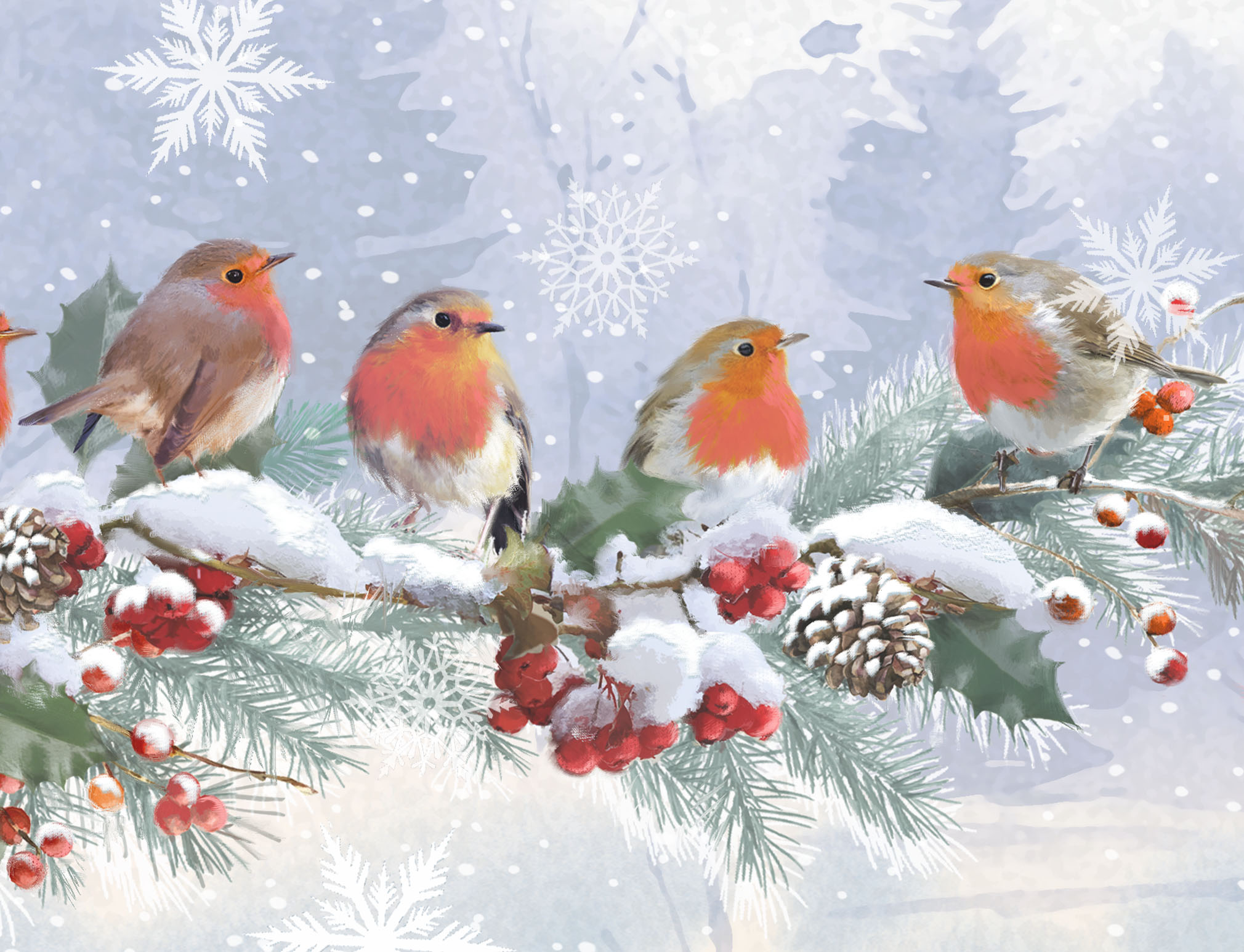 Robins on a Holly Branch Personalised Christmas Card