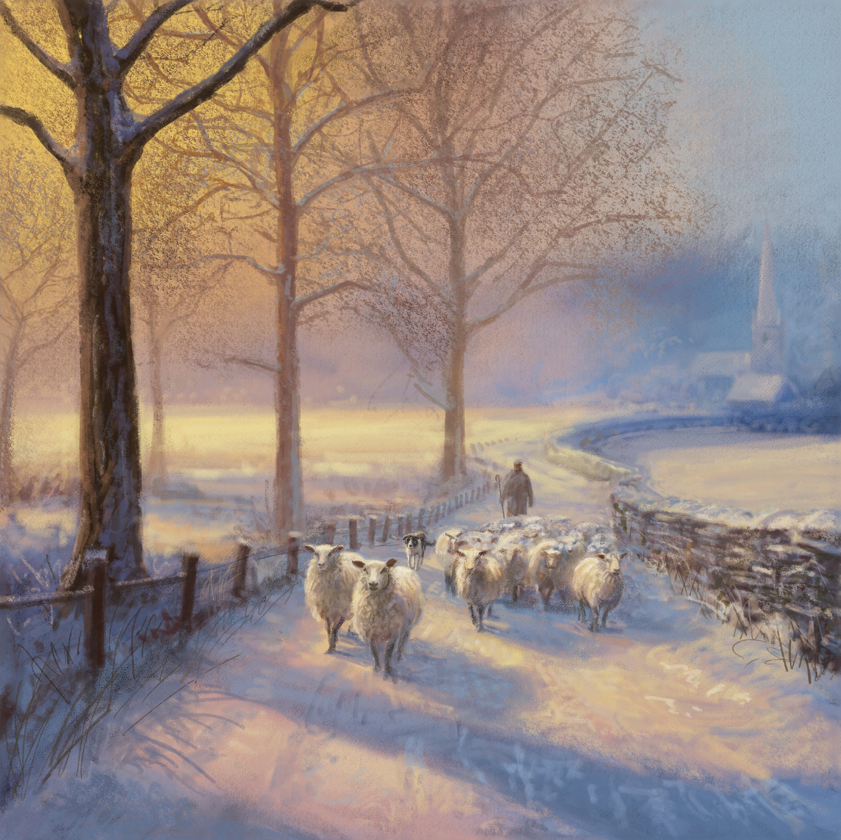 Sheep Walk Personalised Christmas Card