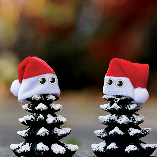 Christmas Pinecones Personalised Christmas Card