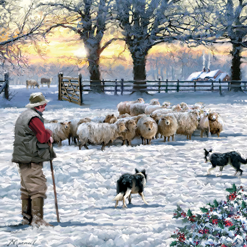 Winter Sheep Personalised Christmas Card