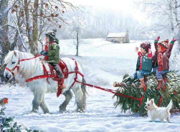 Pony Fun Personalised Christmas Card