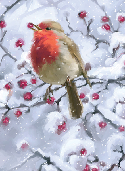 Robin on a Hawthorn Personalised Christmas Card