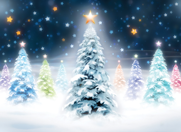 Coloured Tree at Night Personalised Christmas Card