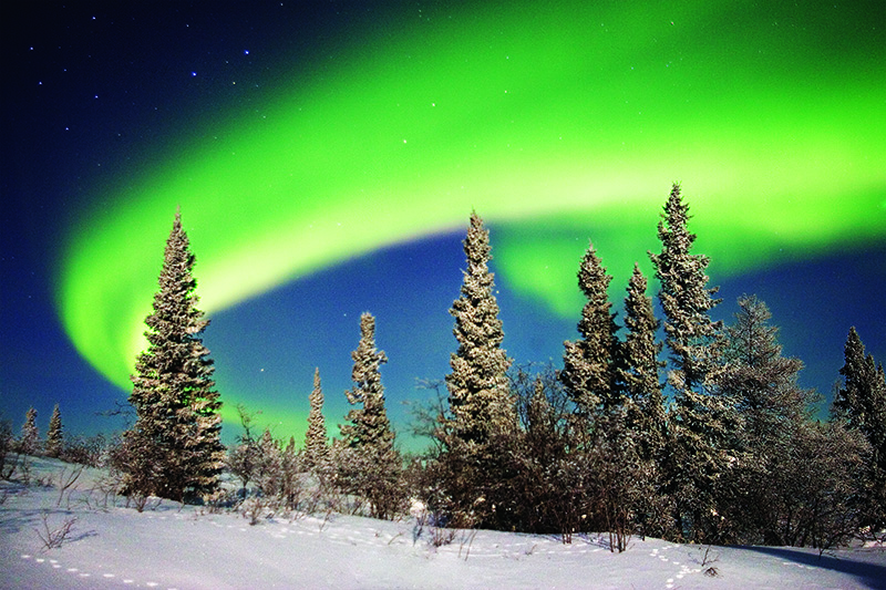Aurora Borealis Personalised Christmas Card
