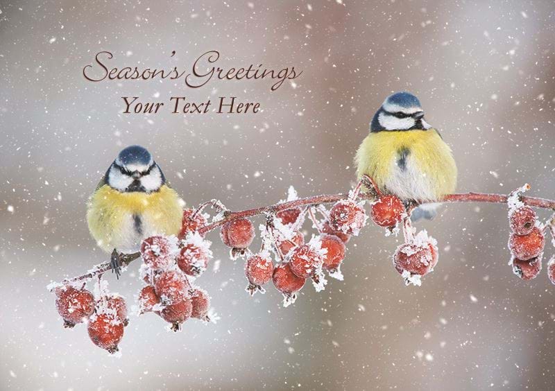 Blue Tits Personalised Christmas Card - Front Personalisation