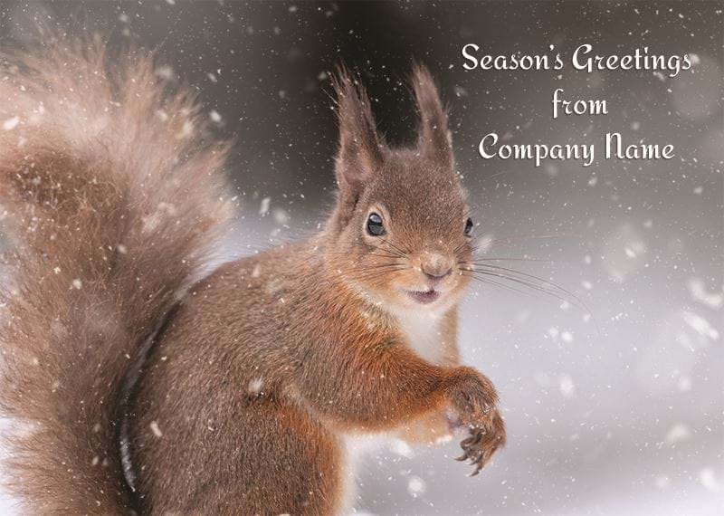 Cheerful Squirrel Personalised Christmas Card - Front Personalisation