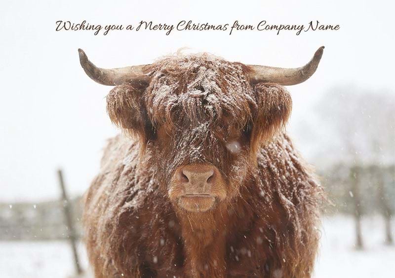 Highland Cow Personalised Christmas Card - Front Personalisation