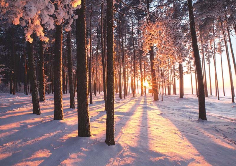 Peaceful Sunset Personalised Christmas Card