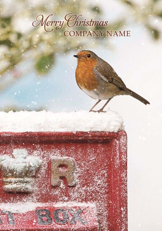 Robin on a Postbox Personalised Christmas Card - Front Personalisation