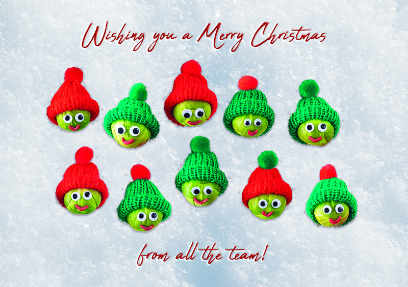 Seasonal Sprouts Personalised Christmas Card