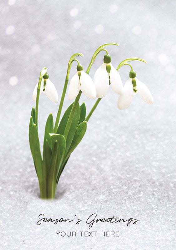 Snowdrops Personalised Christmas Card - Front Personalisation