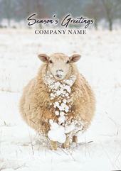 Snowy Sheep - Front Personalised Christmas Card