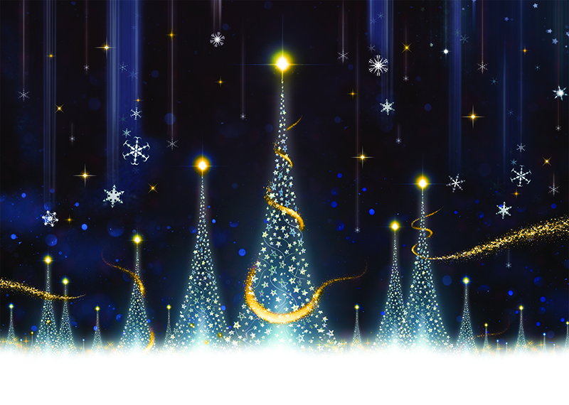 Sparkly Trees Personalised Christmas Card