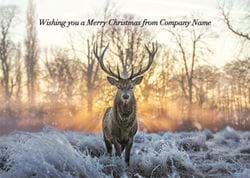 Stag at Sunrise Personalised Christmas Card - Front Personalisation