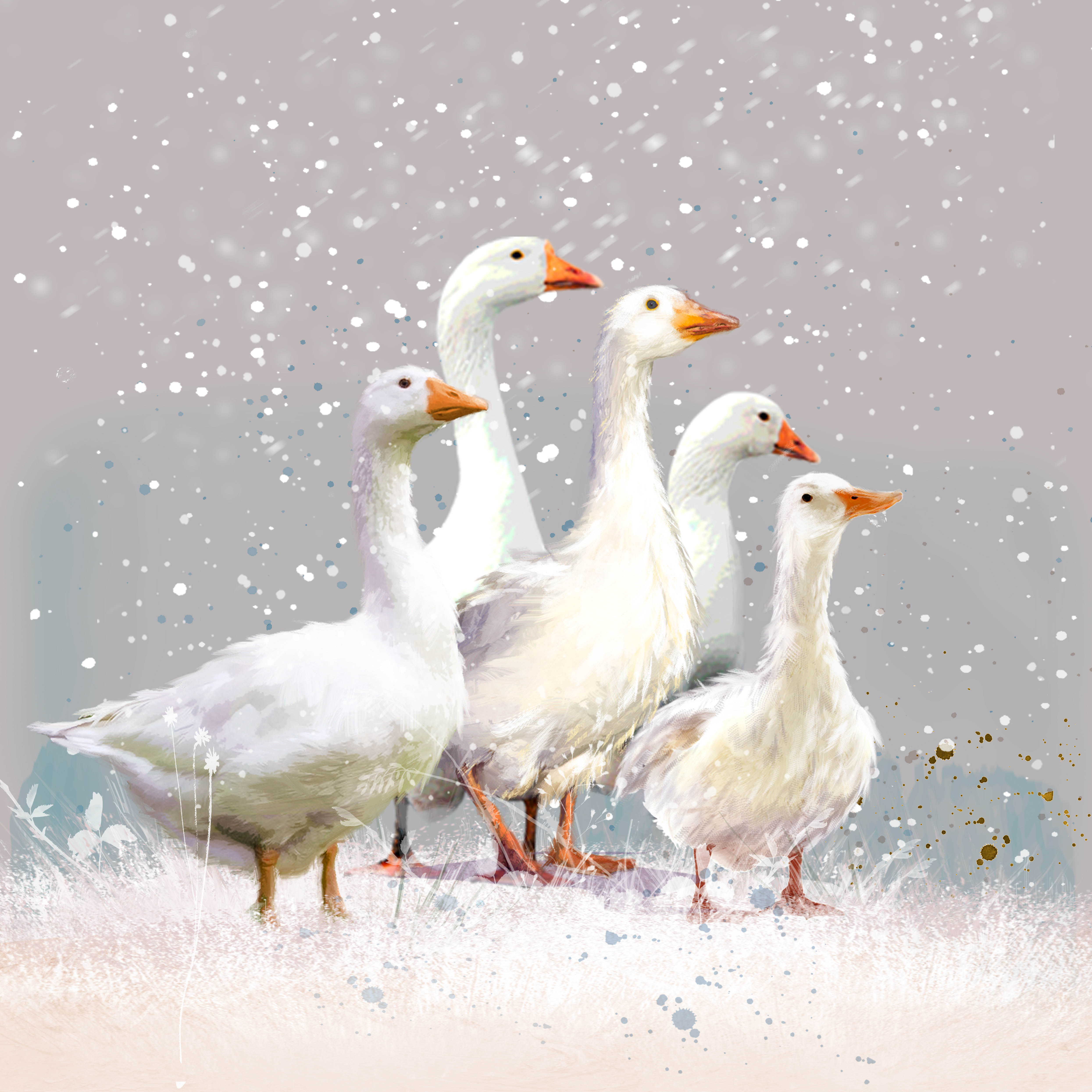 Flock of Geese Personalised Christmas Card