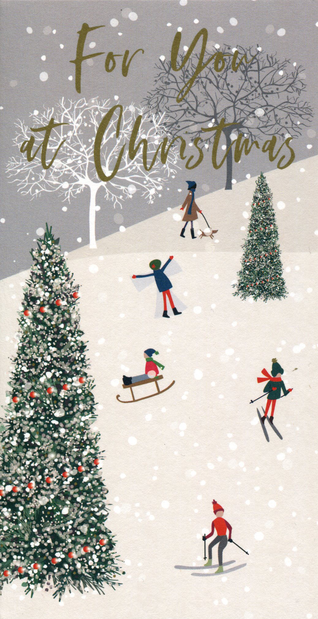 For You Sledging Fun Money Card