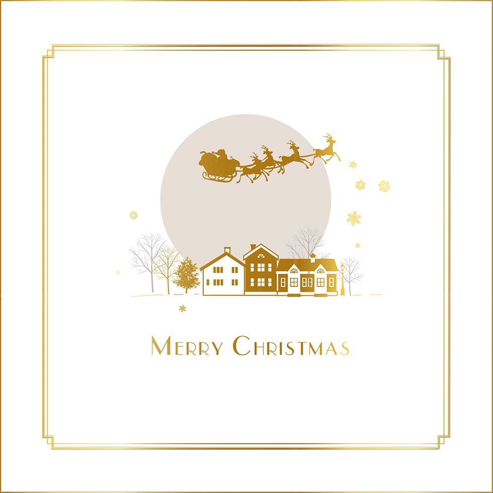 Flying Over the Rooftops Christmas Card Pack (10)